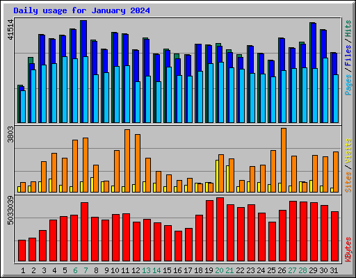 Daily usage for January 2024