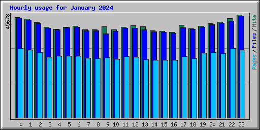 Hourly usage for January 2024