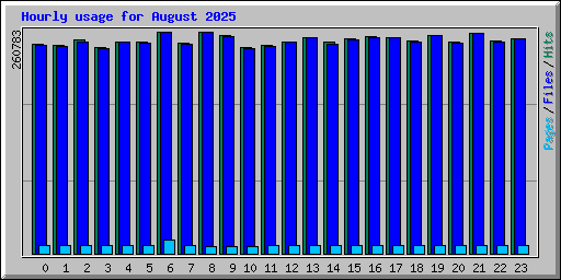 Hourly usage for August 2025