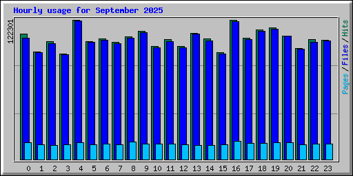 Hourly usage for September 2025