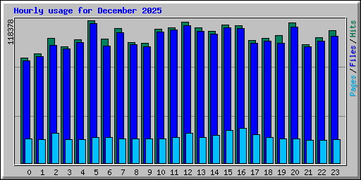 Hourly usage for December 2025